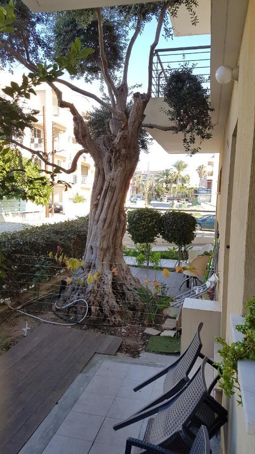 Kerynia Paphos