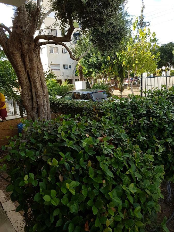 Kerynia Apartament